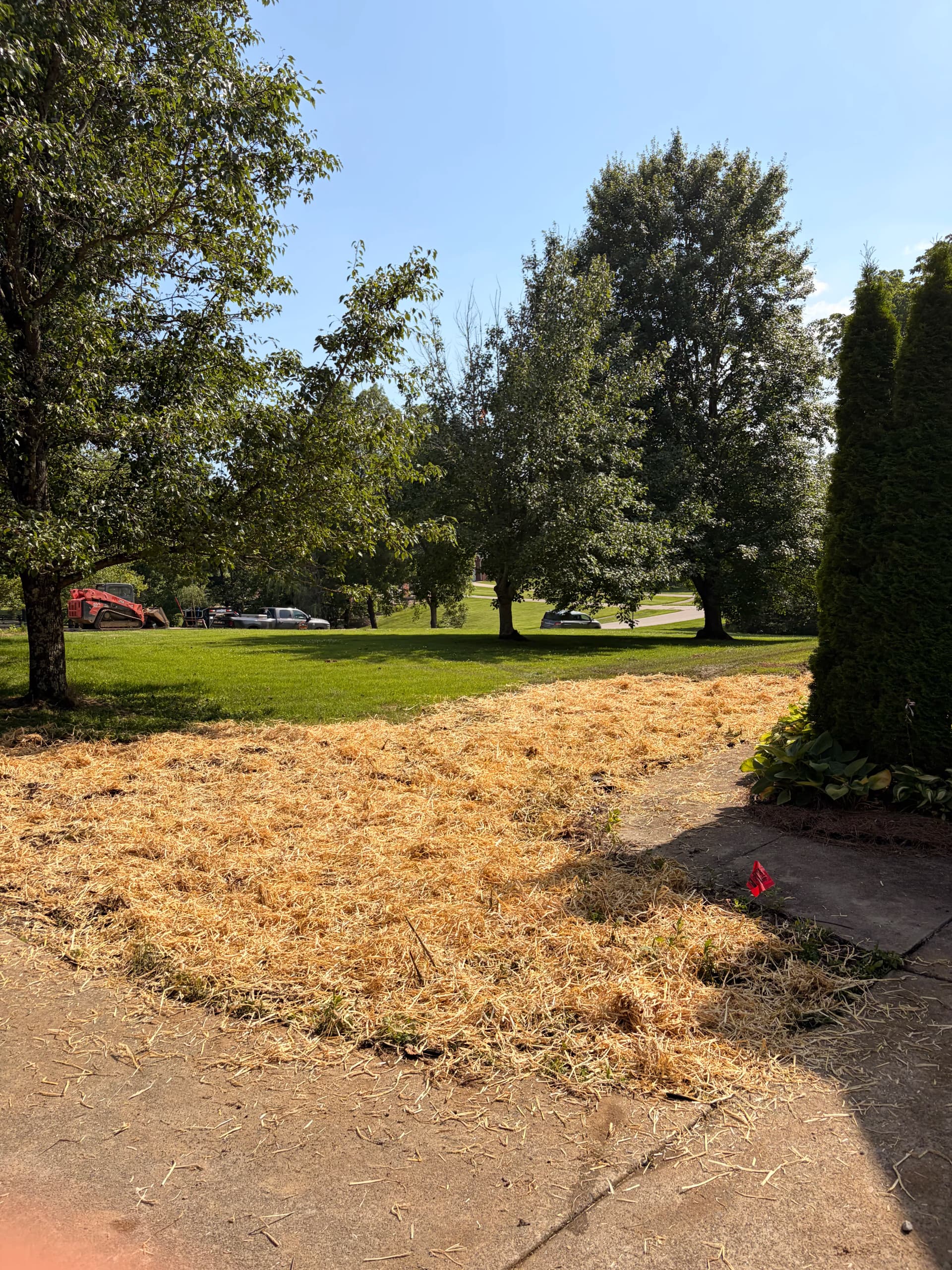 Small Concrete Driveway Addition That Made a Real Difference