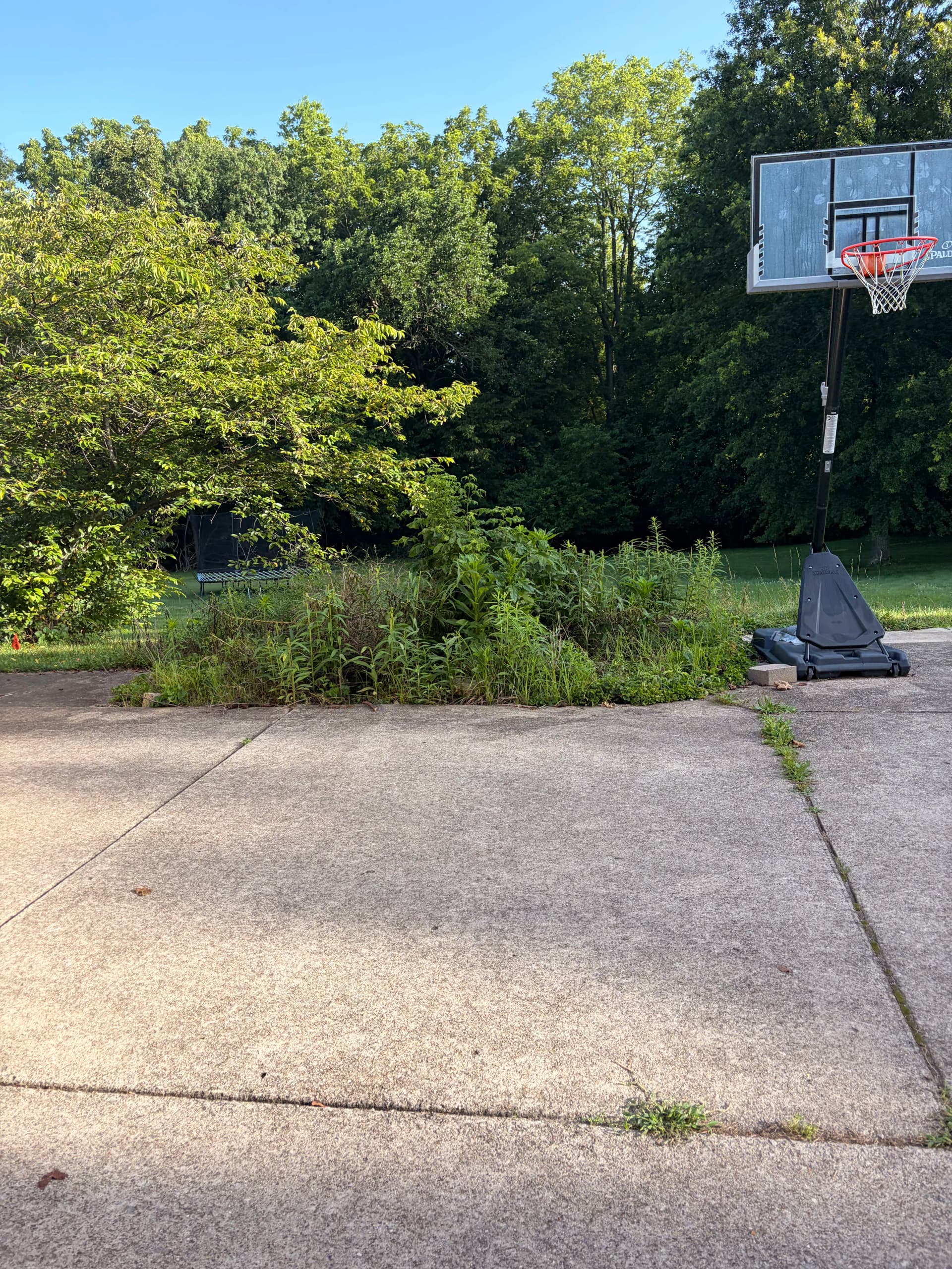 Small Concrete Driveway Addition That Made a Real Difference