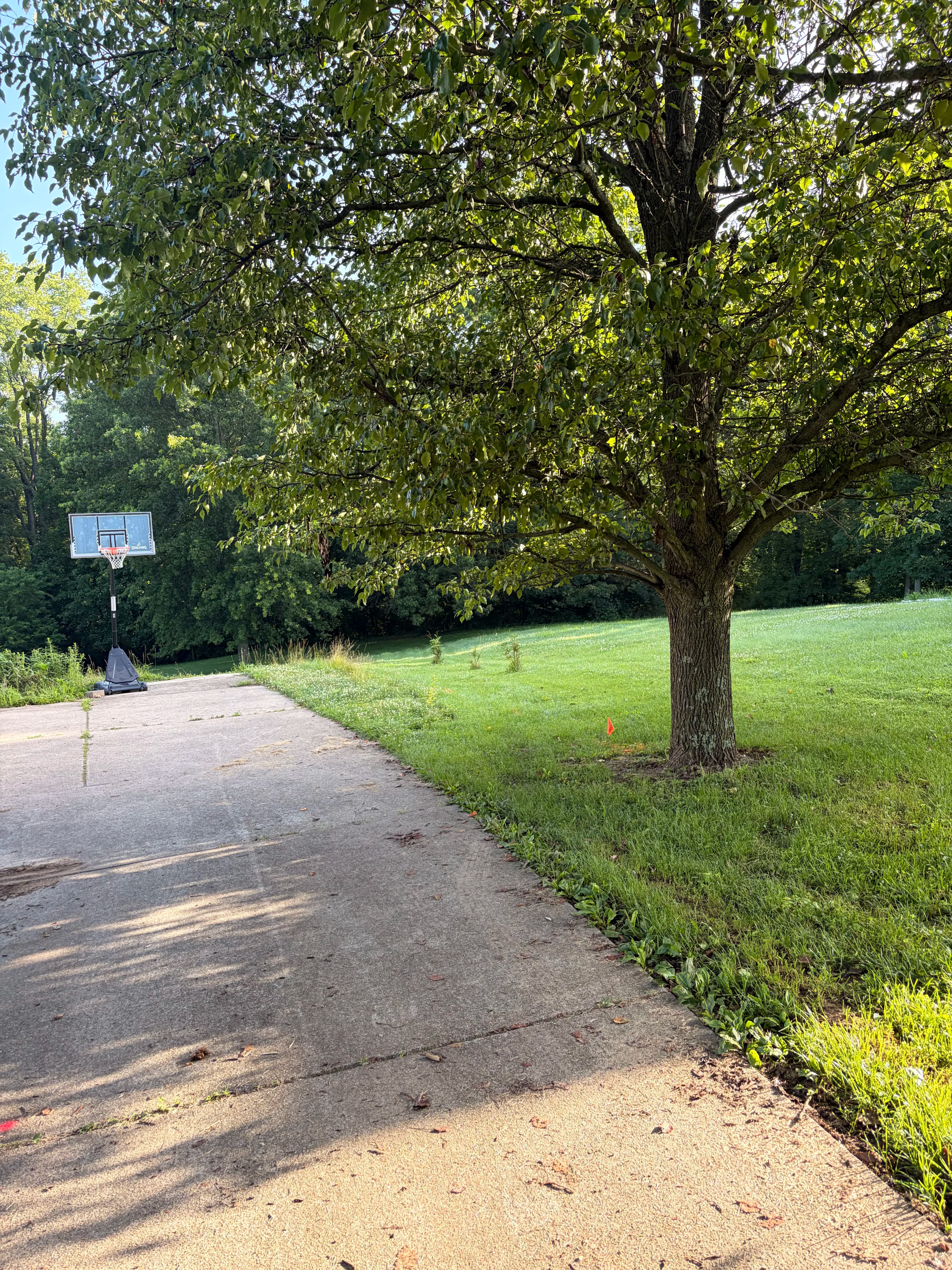 Project Small Concrete Driveway Addition That Made a Real Difference image