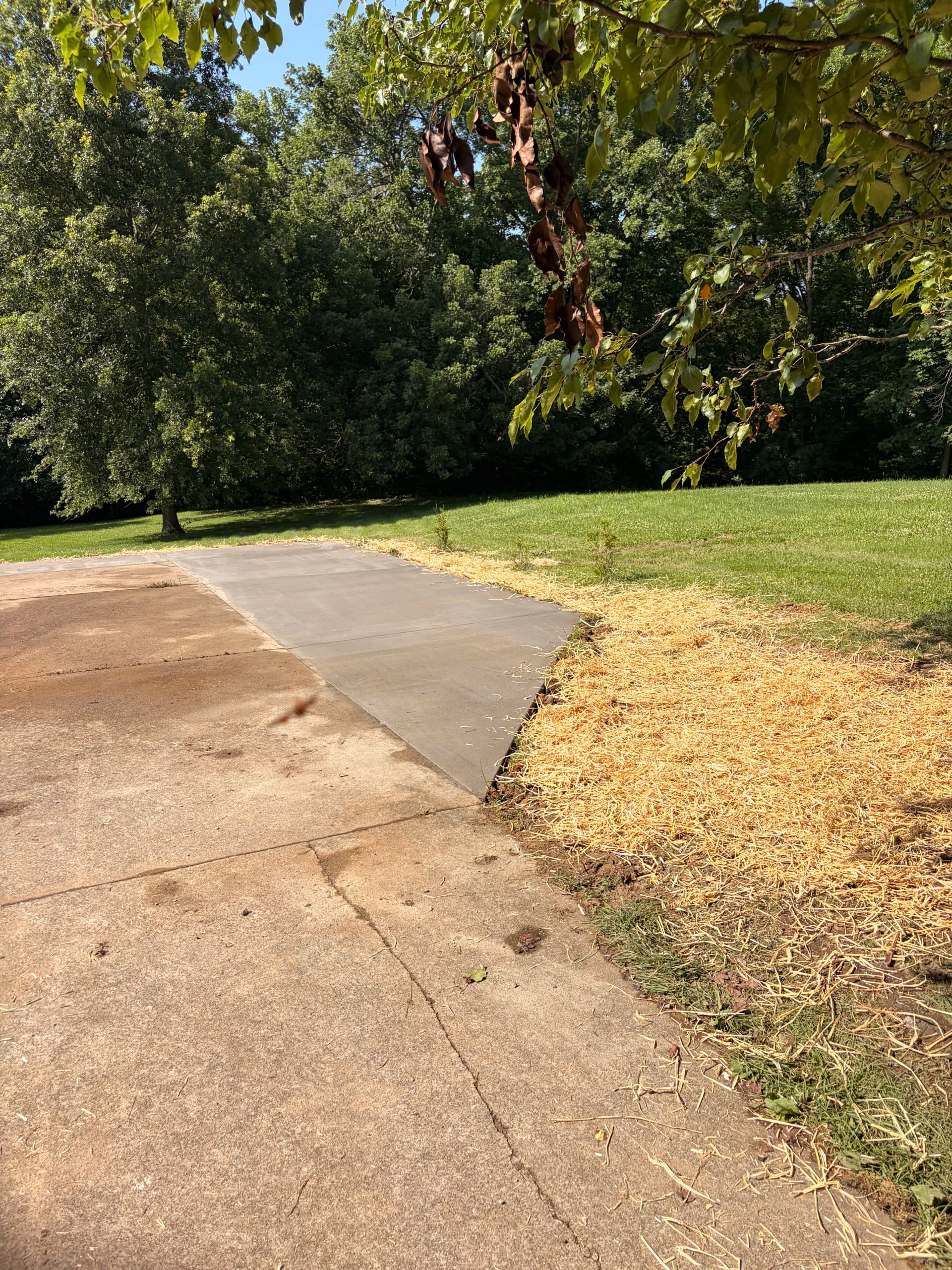 Small Concrete Driveway Addition That Made a Real Difference